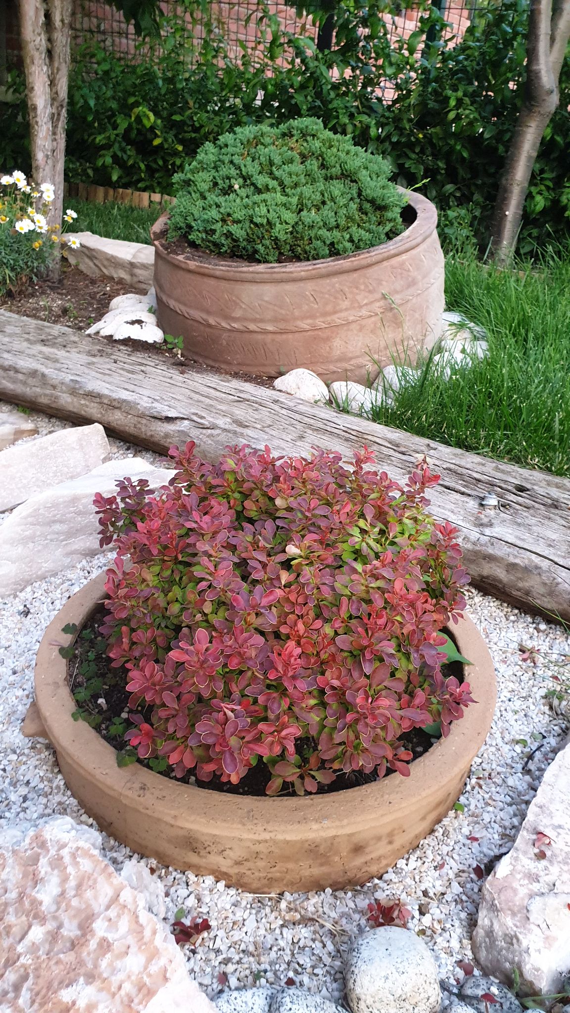 ÇAKILLI PEYZAJ UYGULAMAMIZ